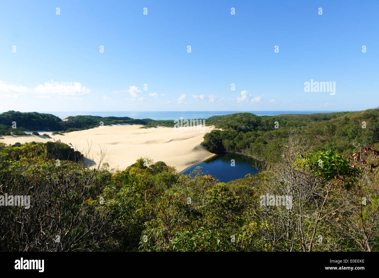 Lake Wabby, Fraser Island, Queensland, Queensland, Australie Banque D'Images