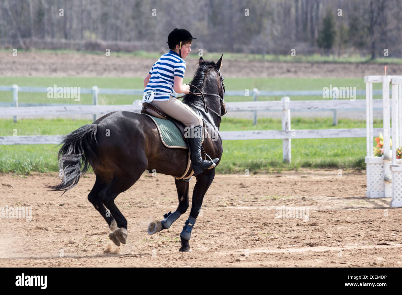 Teenage boy on the bay pony se préparer à passer un saut à un cheval local montrent la scolarité. Banque D'Images