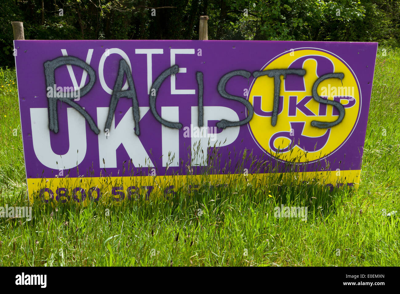 Une affiche pour le parti UKIP qui a été effacé par le mot de racistes, à côté de la route, à Cornwall. Banque D'Images