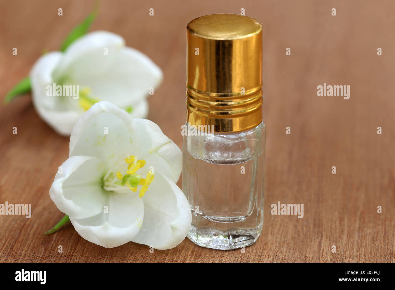 Orchidée blanche nain avec une bouteille d'extrait sur la surface en bois Banque D'Images