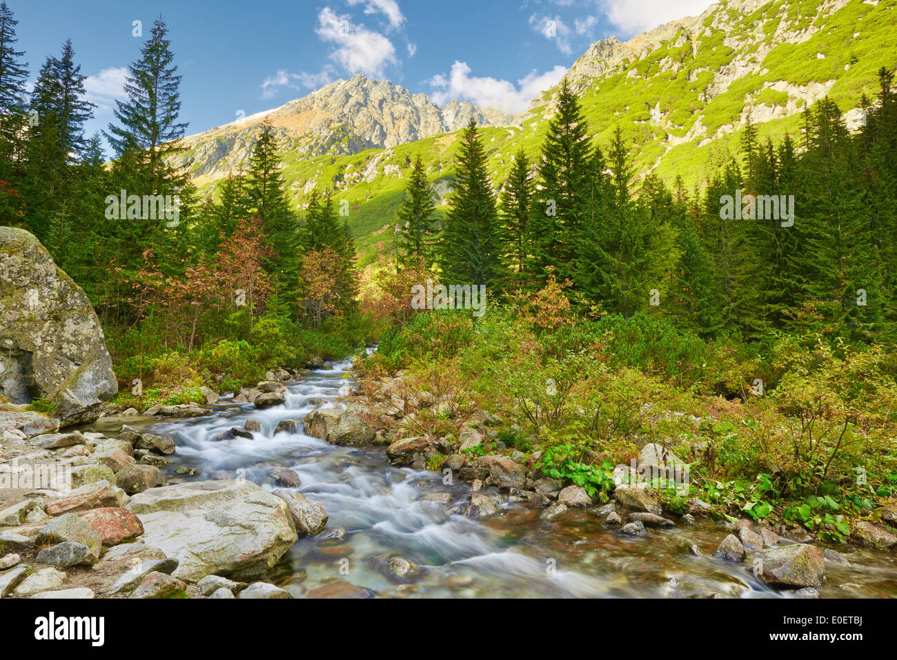 Le ruisseau Roztoka Roztoka dans la vallée. Parc National des Tatras. Les Hautes Tatras, massif des Carpates. Réserve naturelle. Banque D'Images