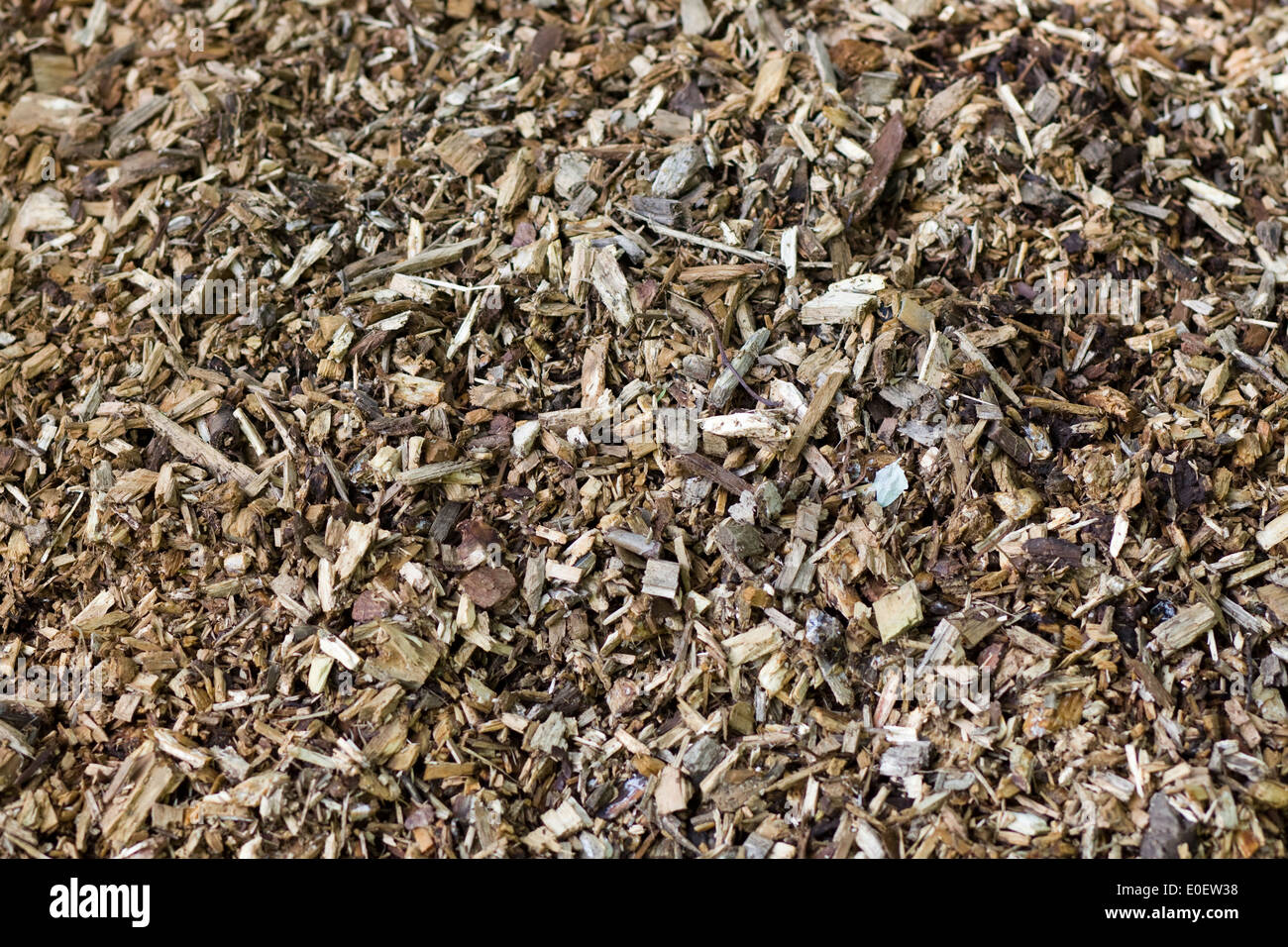 L'écorce des arbres déchiquetés pour utiliser comme paillis sur un jardin Banque D'Images