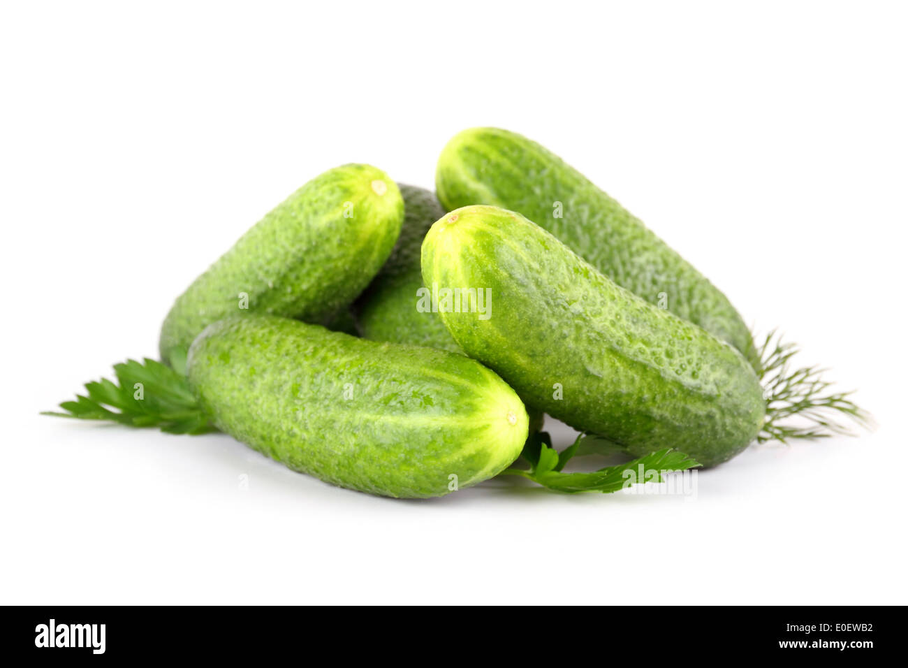 Pickling cucumbers avec persil, Aneth, Herbes, isolé Banque D'Images