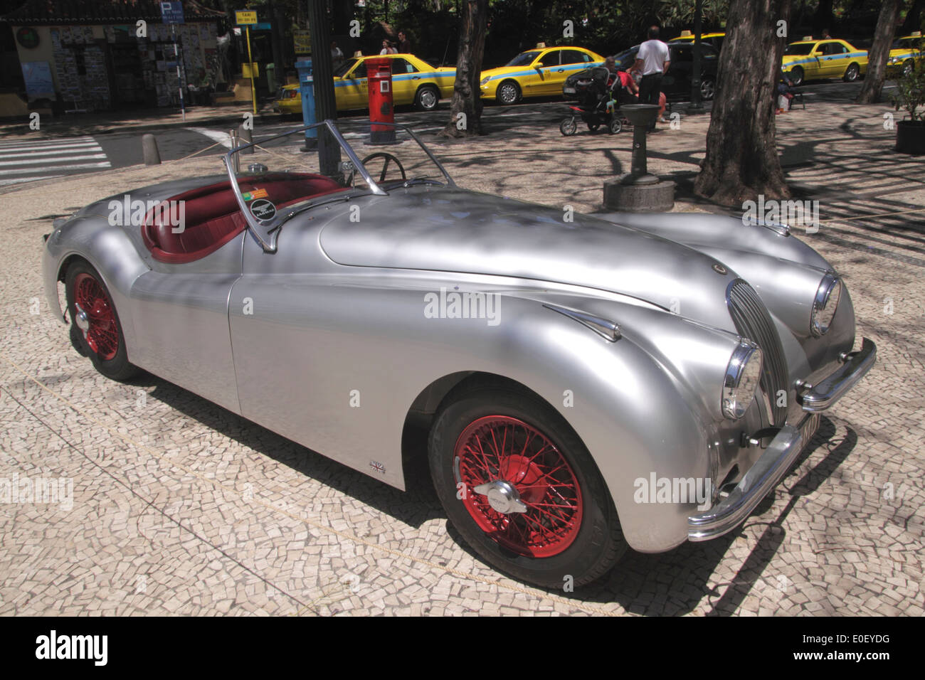 Vintage Jaguar XK120 dans Avenida Arriaga Funchal Madeira Banque D'Images