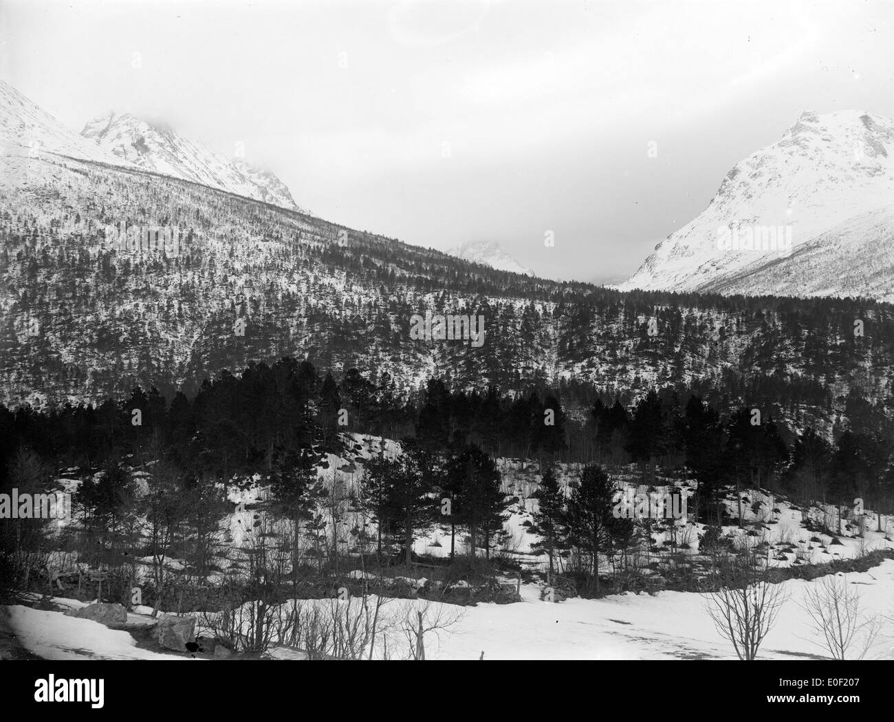Cette photographie capture le magnifique paysage hivernal de Sogn og Fjordane en Norvège, mettant en évidence son terrain enneigé, ses montagnes et sa beauté naturelle. Banque D'Images