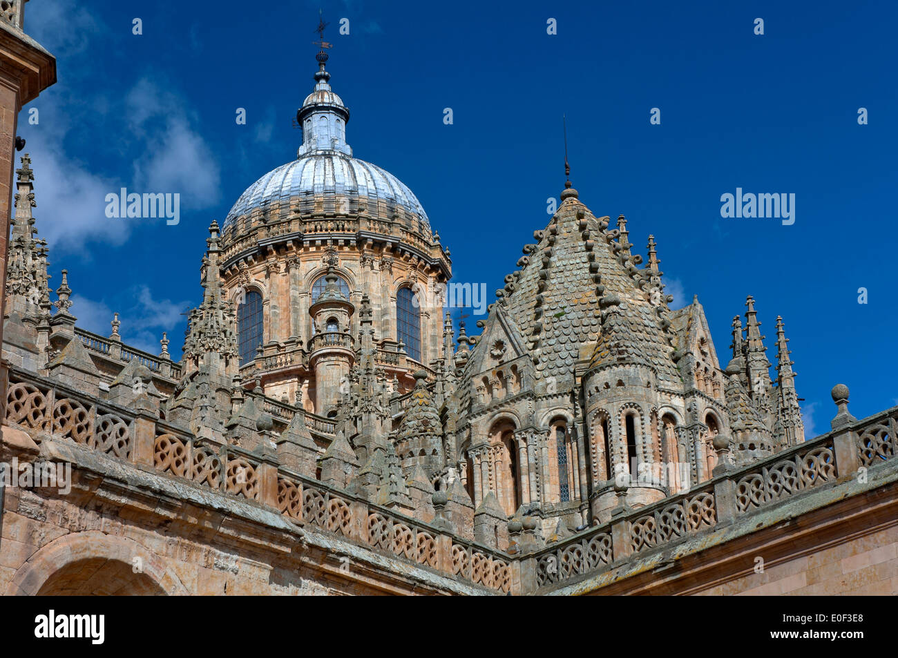 Dômes de la Cathédrale, Salamanque, région de Castilla y Leon, Espagne, Europe Banque D'Images