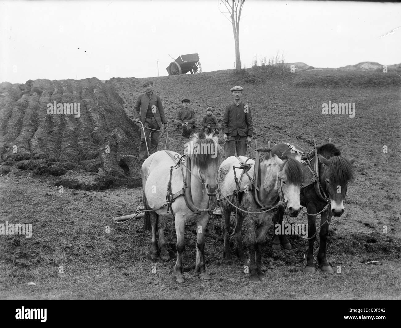 Une photo représentant des travaux agricoles dans l'Yndestad, Norvège, en 1916, montrant le labour avec des chevaux. L'image est capturée à l'aide de techniques de photographie alternatives et documente la vie agricole norvégienne historique. Banque D'Images