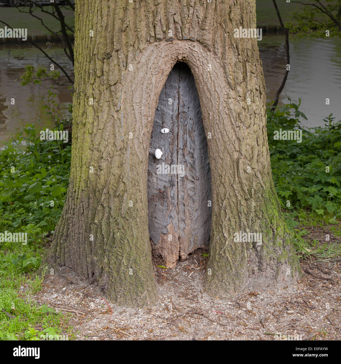 Petite fée en bois porte dans un tronc d'arbre Photo Stock - Alamy