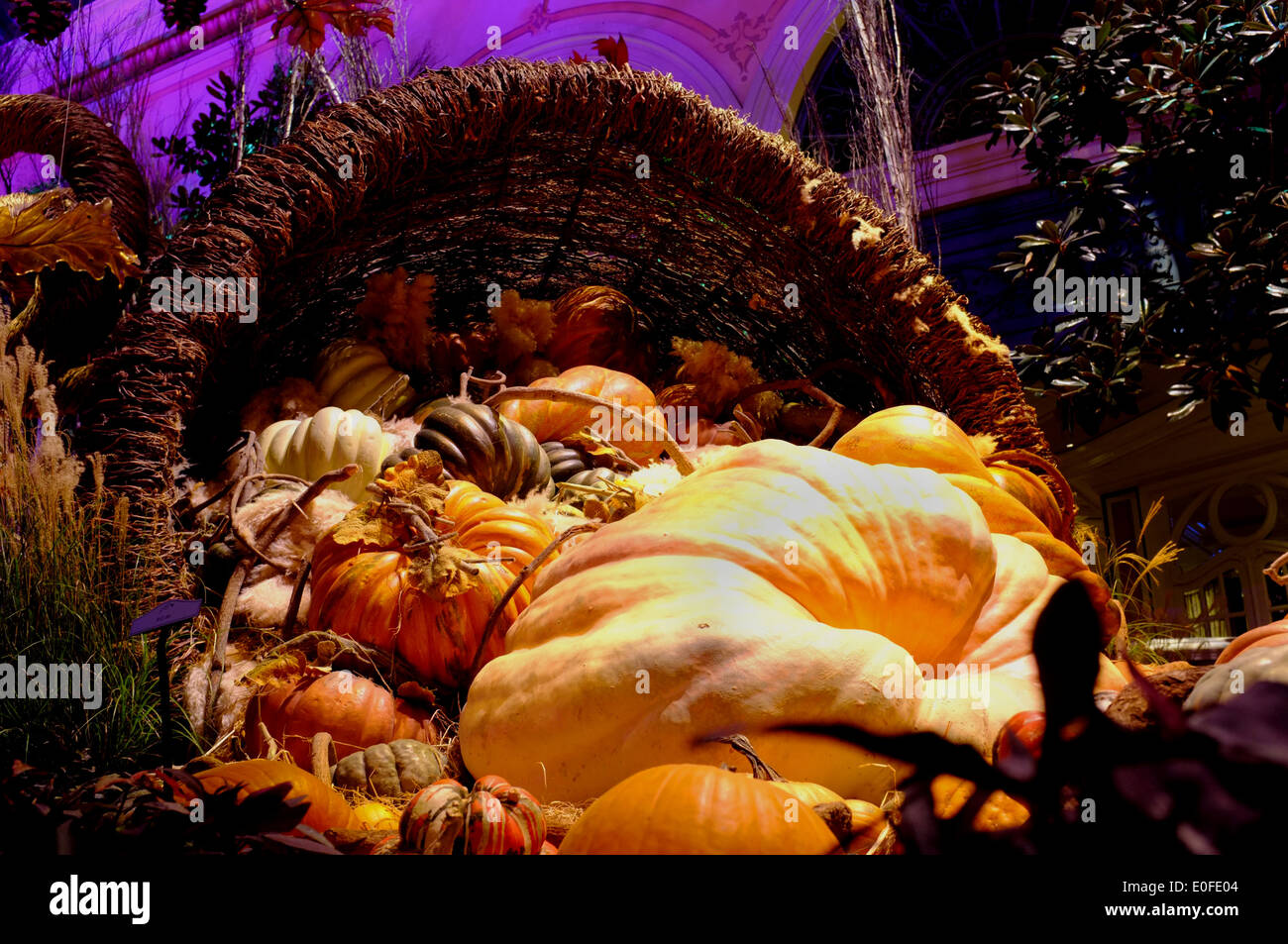 Halloween citrouille afficher dans un casino de Las Vegas shopping mall Banque D'Images