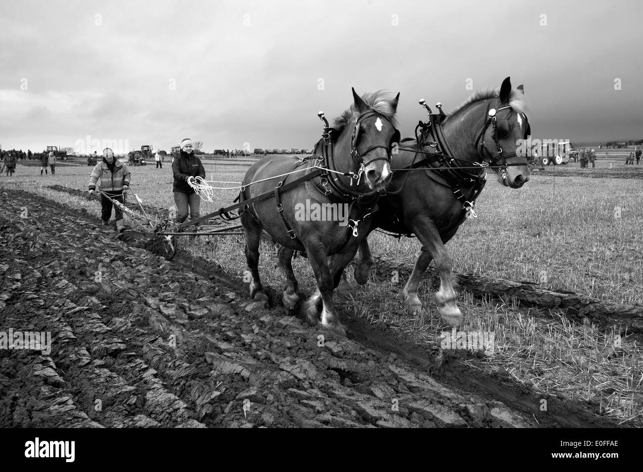 Memorial de Labour, 2014, Shorwell, île de Wight, Angleterre, Royaume-Uni, ©Patrick Eden, 2014 Photographie Banque D'Images