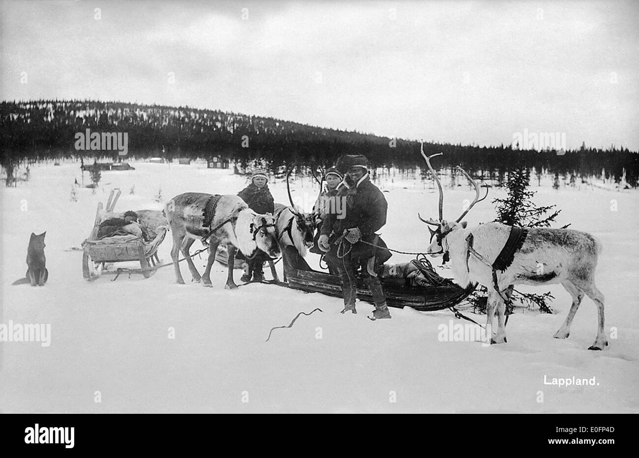 Famille Sami avec rennes, Jukkasjärvi, Laponie, Suède Banque D'Images