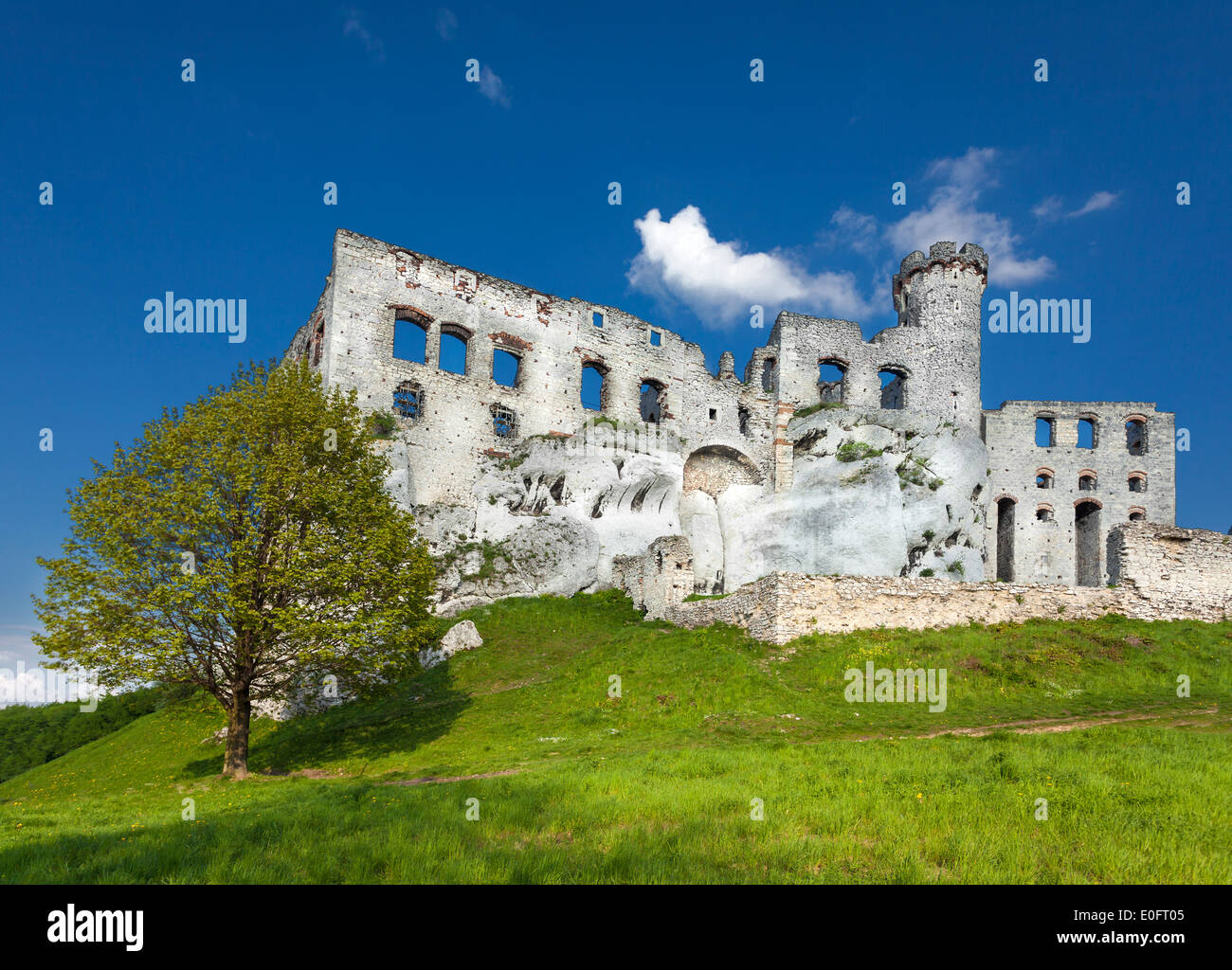 Ruines d'un château, fortifications Ogrodzieniec, Pologne. Banque D'Images