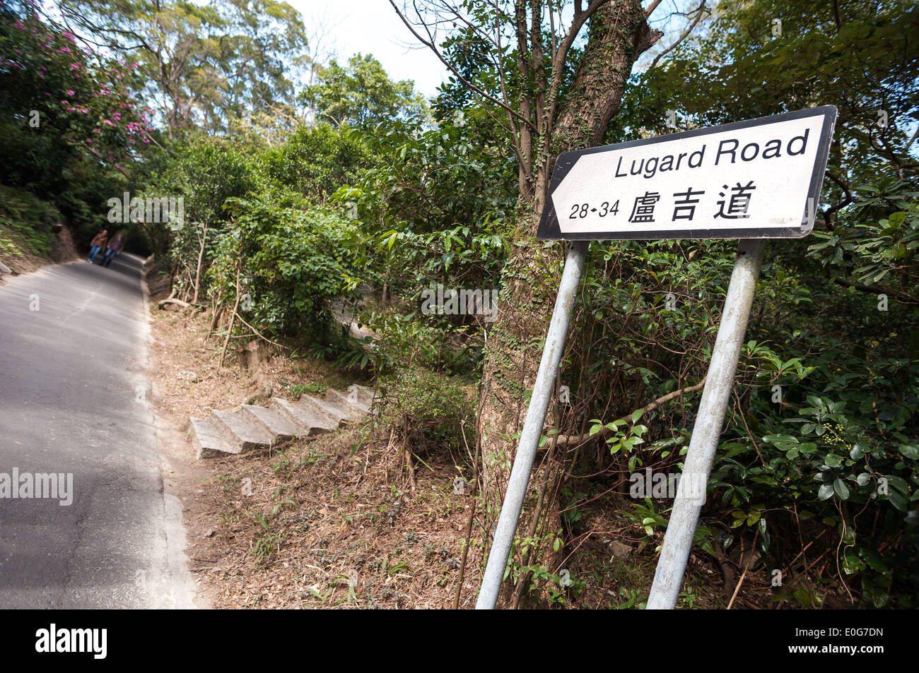 Lugard road sur le Pic Victoria, hong kong Banque D'Images