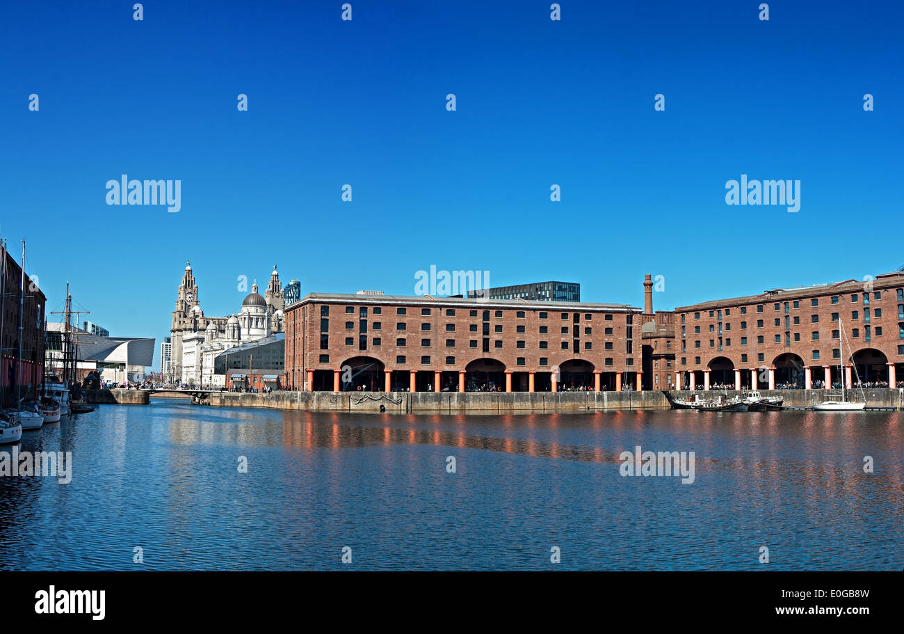 Albert Dock Liverpool UK et bâtiments du foie Banque D'Images