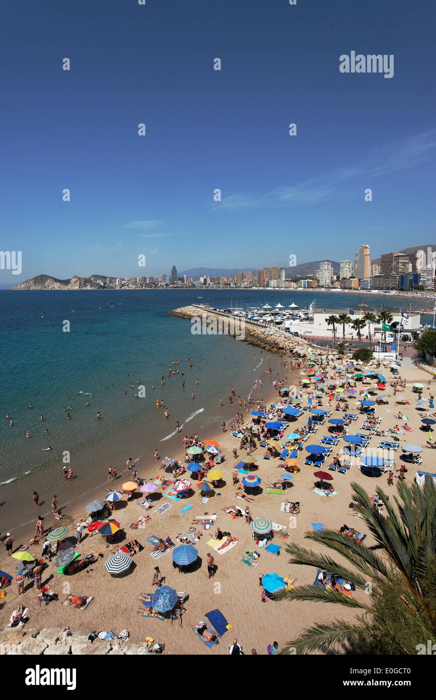 La vie à la plage, vue de l'été, Costa Blanca, Benidorm, Alicante, Espagne Banque D'Images