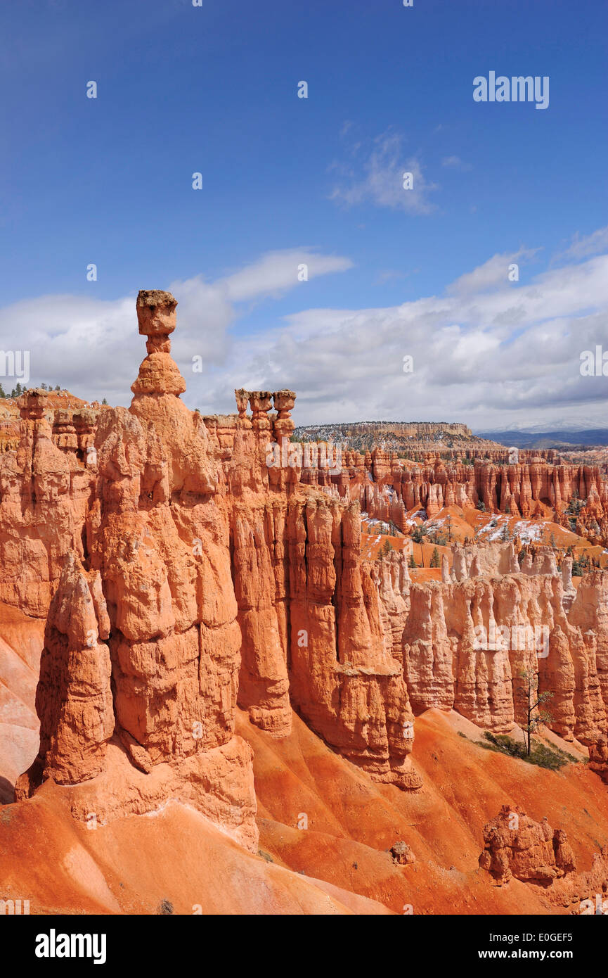 Rock spire le marteau de Thor à Bryce Canyon, Bryce Canyon National Park, Utah, USA, Amérique du Sud-ouest, Banque D'Images