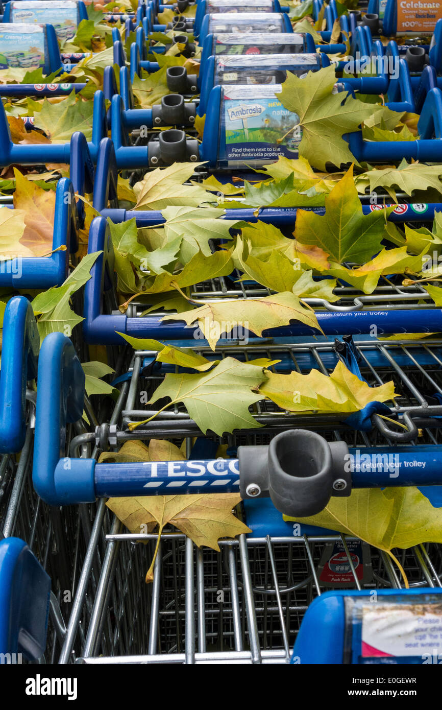 Chariots à l'extérieur, Tesco UK Banque D'Images