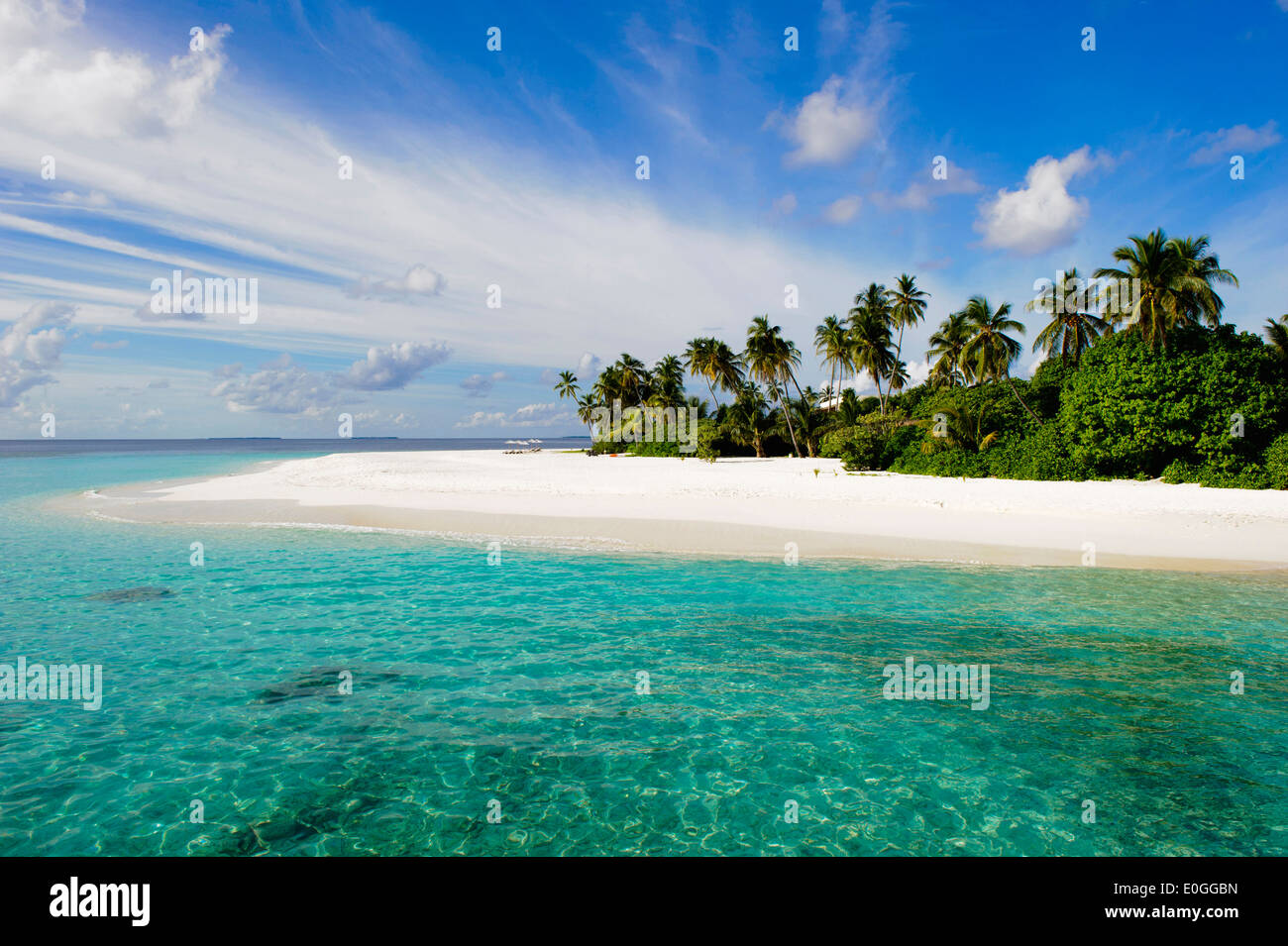 Plage avec des palmiers dans la lumière du soleil, l'hôtel Park Hyatt Maldives Hadahaa, Alifu Atoll, New North Huvadhoo Atoll, Maldives Banque D'Images