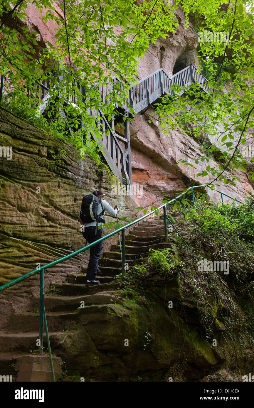 Château Falkenburg près de Wilgartswiesen Forêt du Palatinat Palatinat, Allemagne Banque D'Images