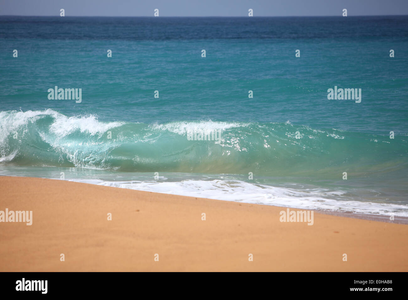 Playa punch, plage, mer, vagues, port, littoral, province de Bocas del Toro, l'Île de Colon, Bocas del Toro, PANAMA Banque D'Images