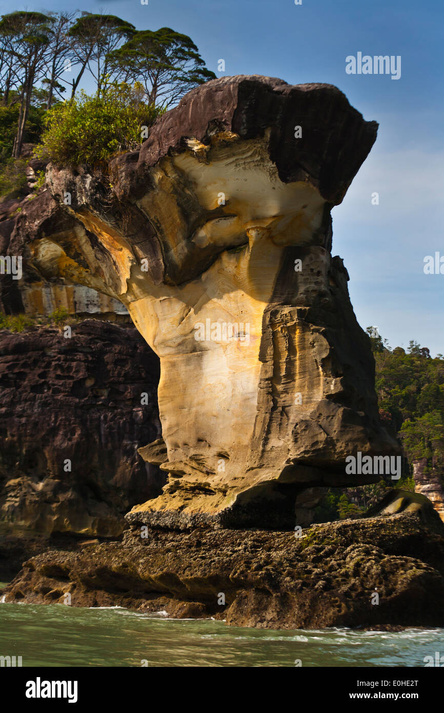 SEASTACKS le long de la côte à BAKO NATIONAL PARK qui est situé dans la région de Sarawak - Bornéo, Malaisie Banque D'Images