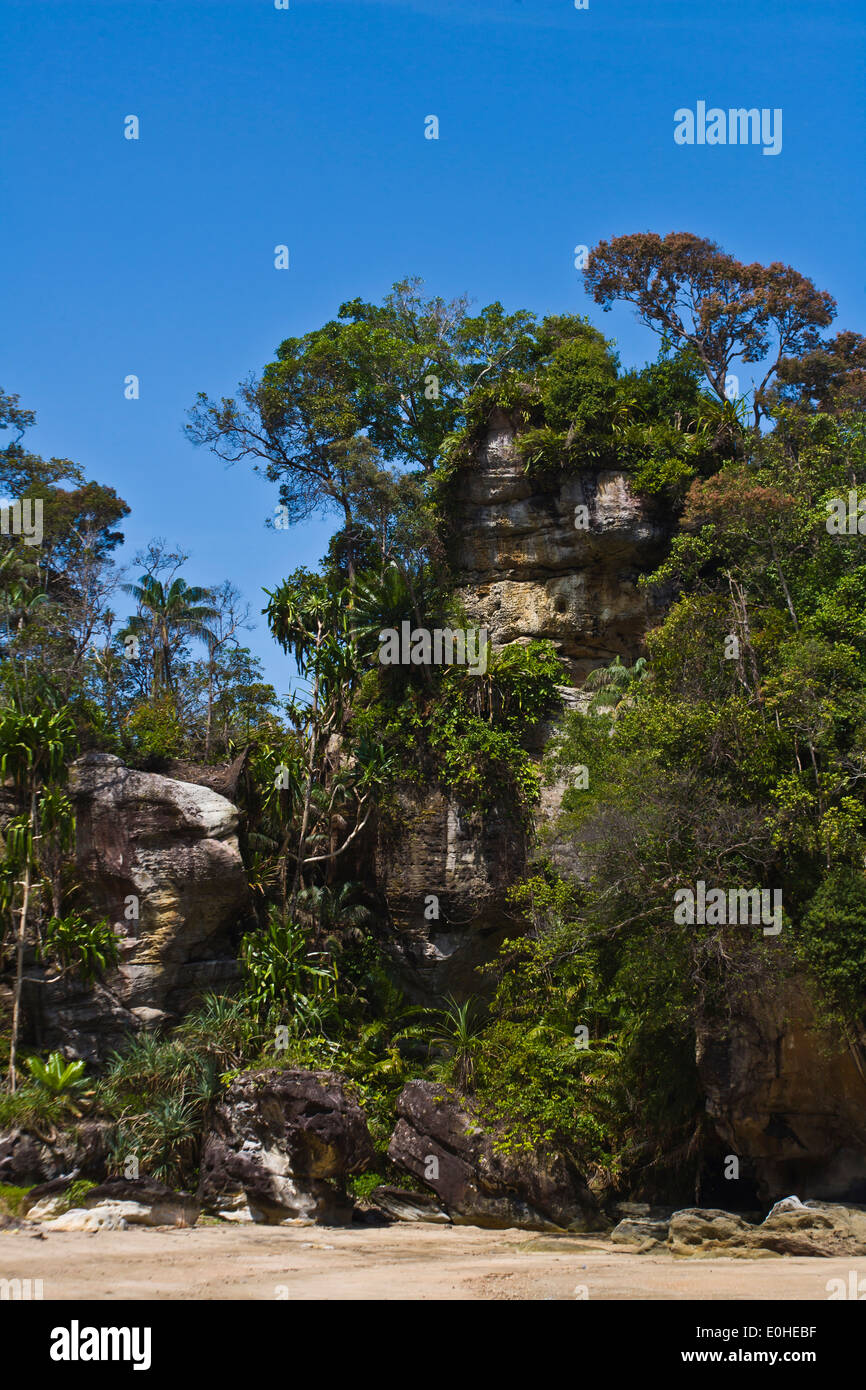 La jungle tropicale et plage de BAKO NATIONAL PARK qui est situé dans la région de Sarawak - Bornéo, Malaisie Banque D'Images