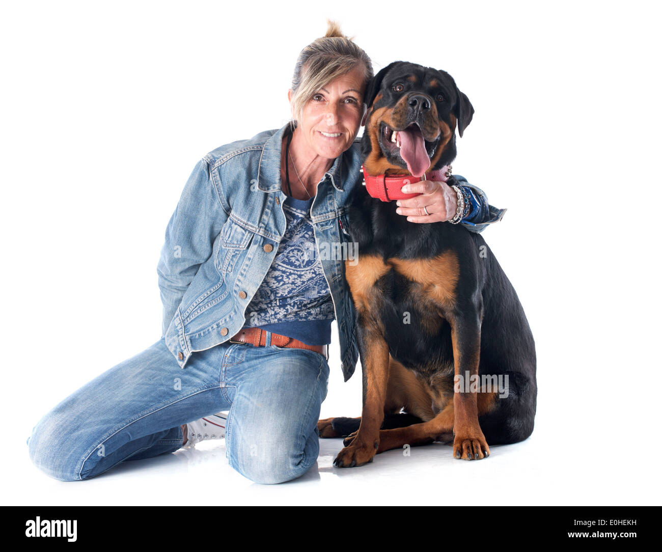 Portrait d'une femme de race Rottweiler et in front of white background Banque D'Images