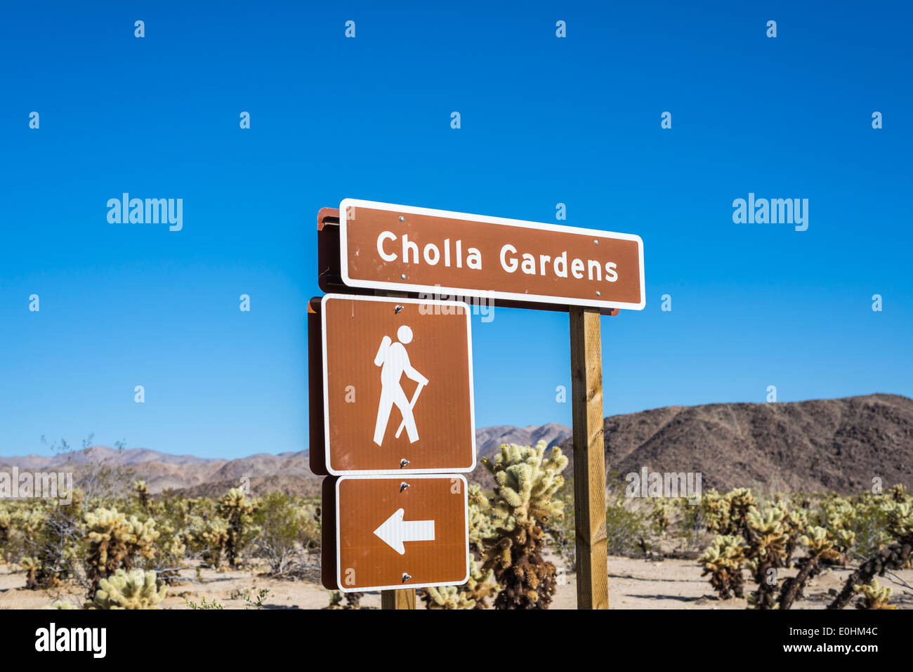 Cholla Cactus Gardens signe. Le parc national Joshua Tree, California, United States Banque D'Images