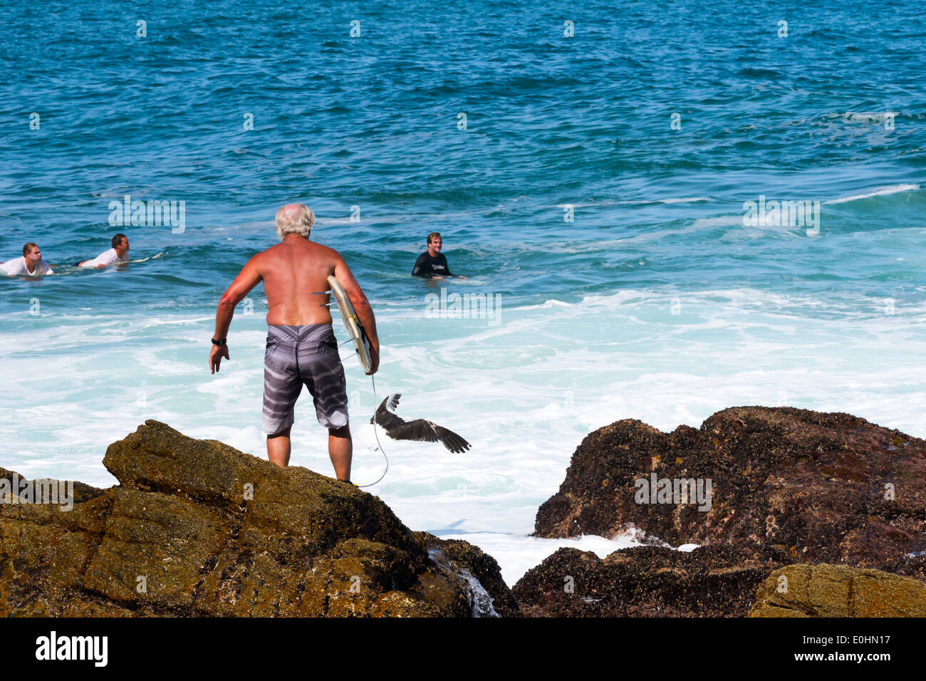 Mâle adulte Senior surfer se dresse sur un rivage rocailleux en attente de sauter dans l'eau, plage de surf, Victoria Bay, Garden Route Banque D'Images