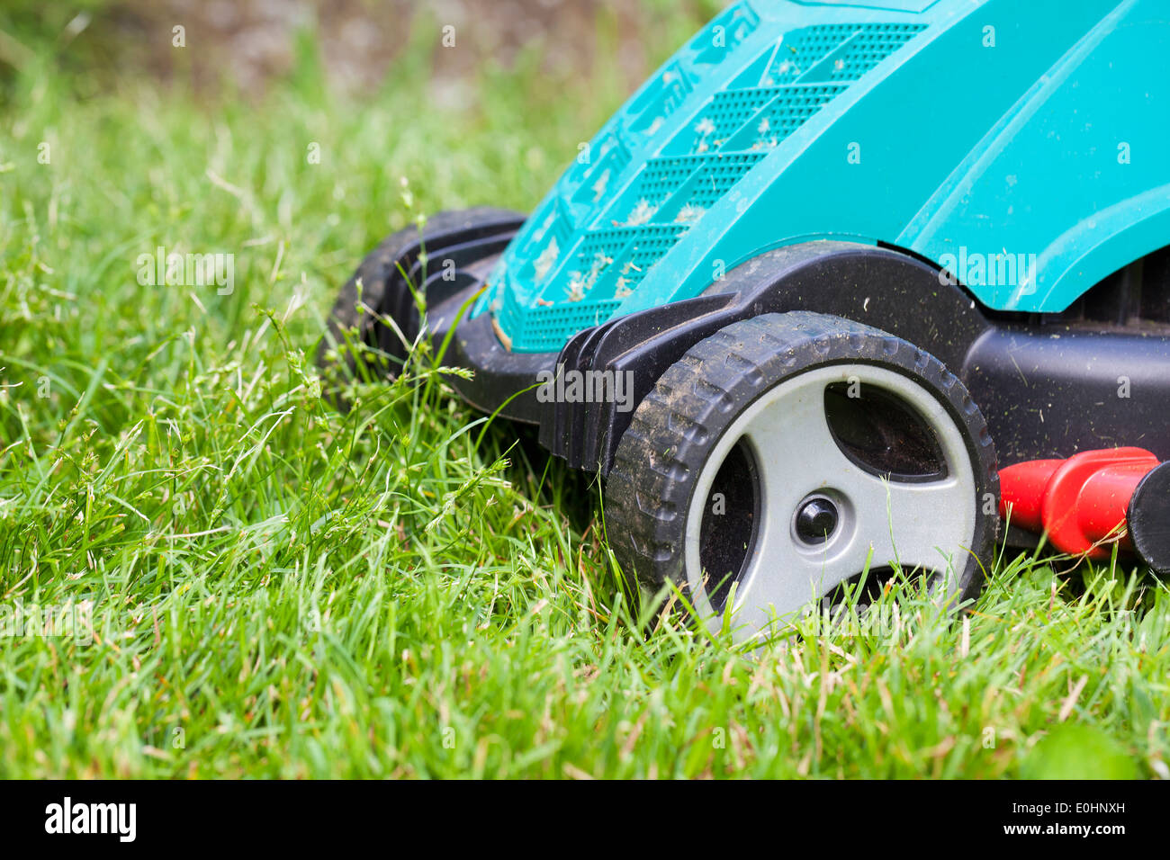 Dans le jardin de la faucheuse Banque D'Images