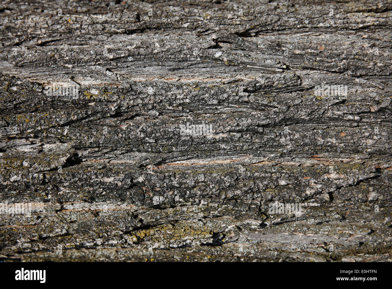 Close-up of a structure bois Banque D'Images