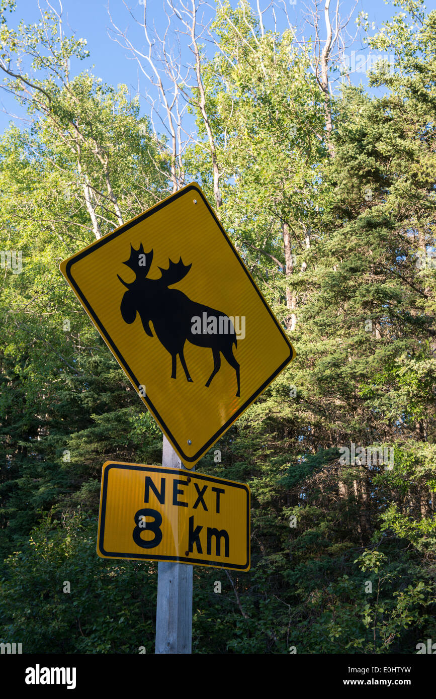 Elk crossing sign, parc national du Mont-Riding, Manitoba, Canada Banque D'Images