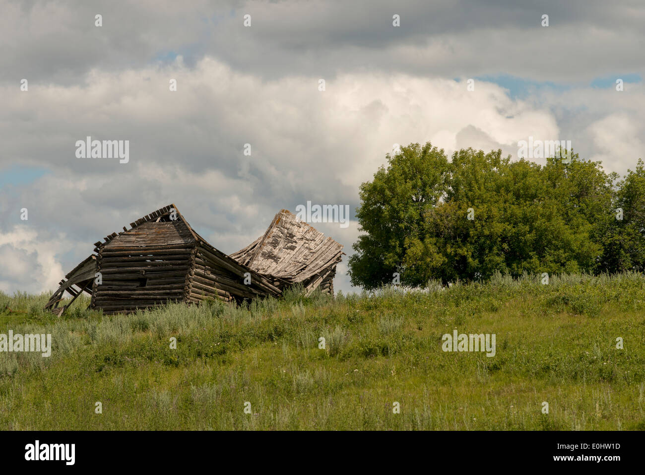 Ferme abandonnée dans un champ, parc national du Mont-Riding, Manitoba, Canada Banque D'Images