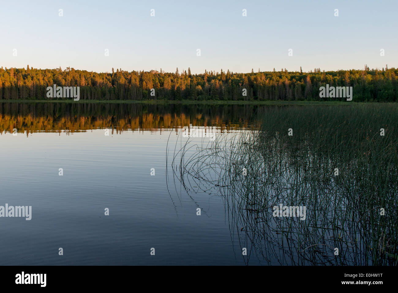 Reflet d'arbres sur le lac, terrain de camping du lac Audy, Parc national du Mont-Riding, Manitoba, Canada Banque D'Images