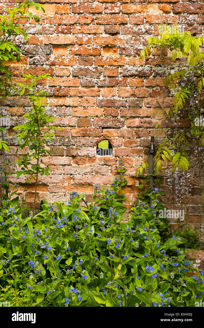 Un trou dans un mur de brique dans un parc dans le Devon, Angleterre Banque D'Images