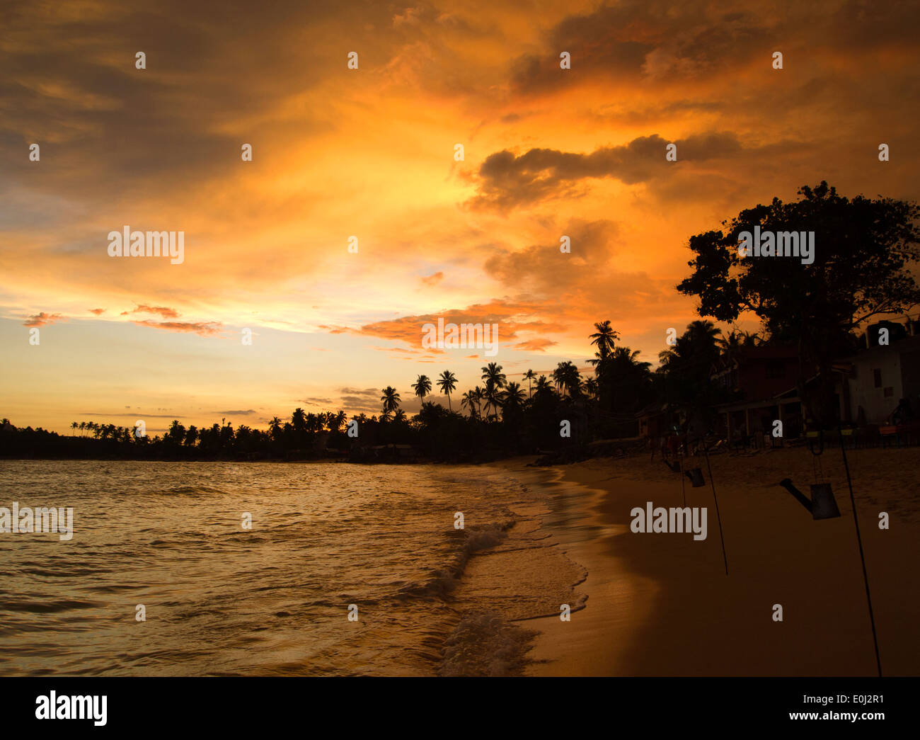 Coucher du soleil sur la plage au Sri Lanka Banque D'Images