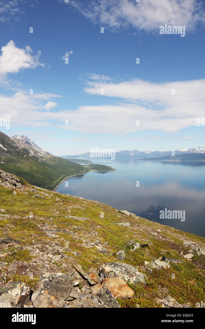 Panorama pittoresque de fjord sur dans le nord de la Norvège aux beaux jours d'été Banque D'Images