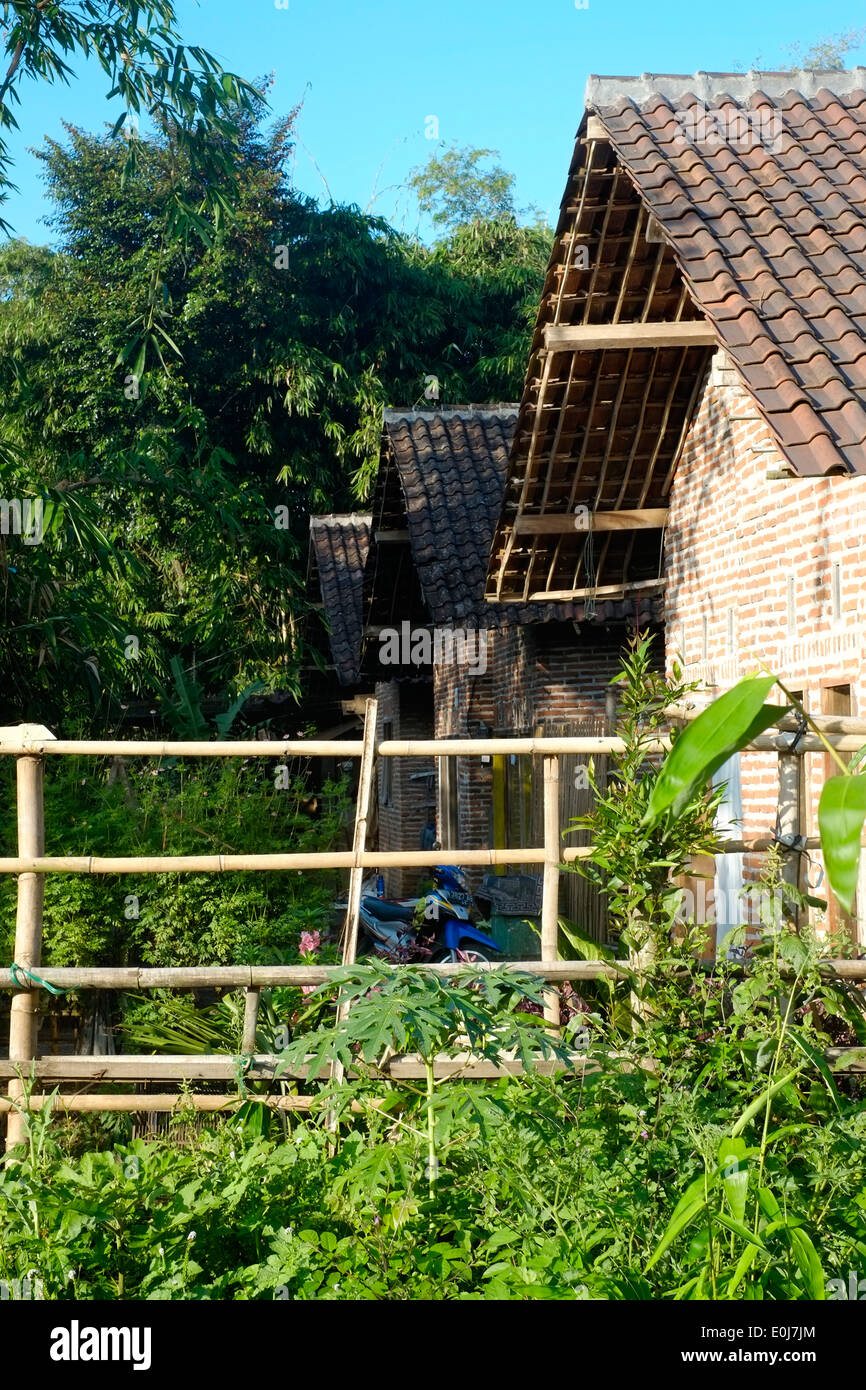 L'habitat rural typique dans un petit village dans l'Est de Java en Indonésie Banque D'Images