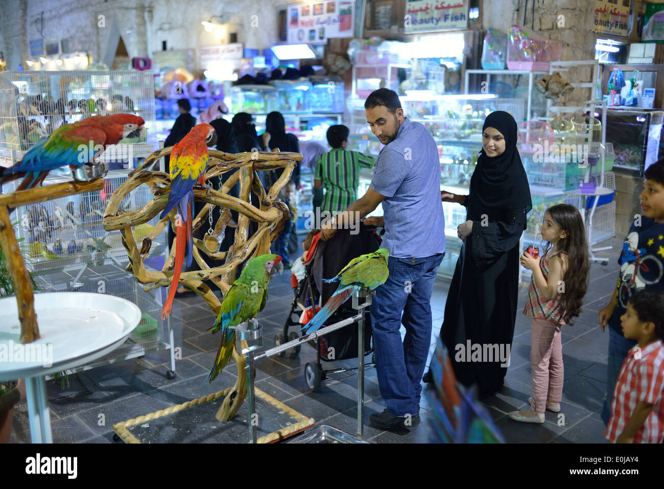 Doha. Le Qatar. Les oiseaux exotiques à vendre à Souq Waqif. Banque D'Images