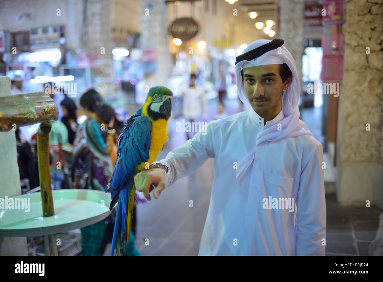 Doha. Le Qatar. Les oiseaux exotiques à vendre à Souq Waqif. Banque D'Images