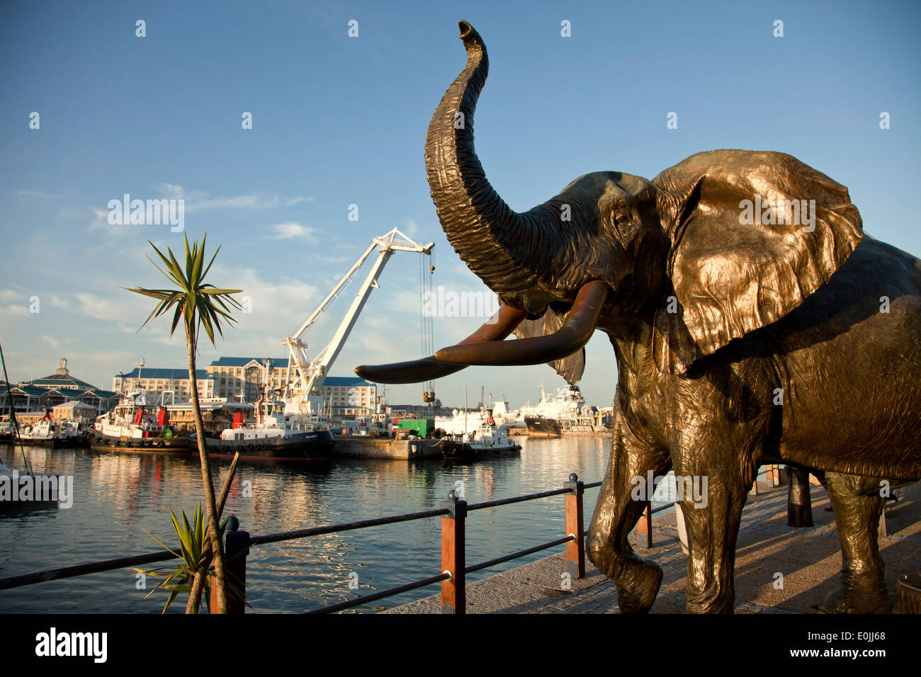 Lifesize éléphant statue, Victoria & Alfred Waterfront, Cape Town, Western Cape, Afrique du Sud Banque D'Images