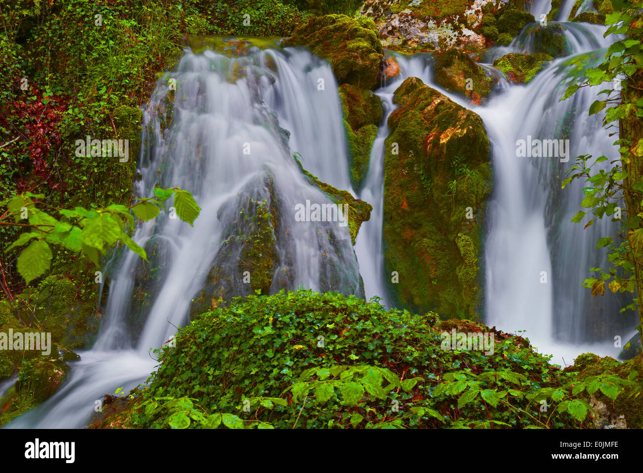 Urbasa Urederra Rivière, Parc Naturel. Urederra rivière près de sa source, Navarra. Baquedano, Navarre, Espagne. Banque D'Images