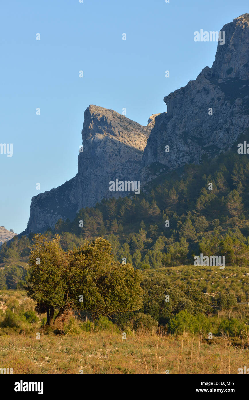 Dans un paysage de montagnes de la Serra de Tramontana, Majorque, Spai Banque D'Images