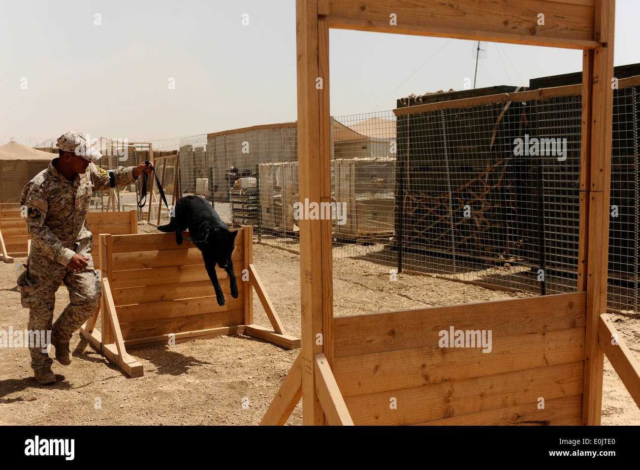 Un policier iraquien avec le programme des chiens policiers de Diyala exécute son chien à travers un parcours à obstacles au cours d'un exercice de formation conjointe Banque D'Images