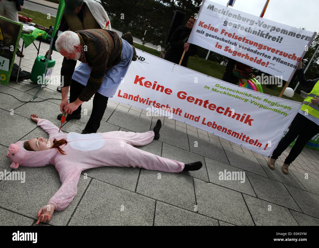 Rostock-Warnemuende, Allemagne. 15 mai, 2014. Les associations de protection des consommateurs et des membres de l'organisation environnementale BUND et le parti allemand des Verts protester contre les aliments génétiquement modifiés et la chloration pour la désinfection des poulets de l'avenir de la protection des consommateurs Conférence ministérielle à Rostock-Warnemuende, Allemagne, 15 mai 2014. Photo : BERND WUESTNECK/dpa/Alamy Live News Banque D'Images