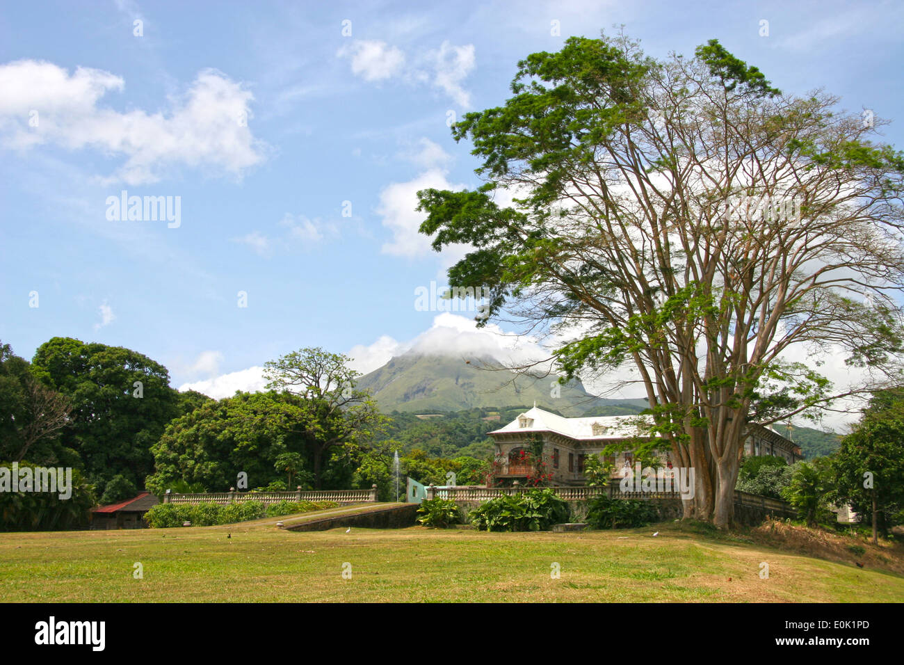 Martinique paysage avec une plantation house et volcan en arrière-plan, Martinique, Caraïbes, France. Banque D'Images