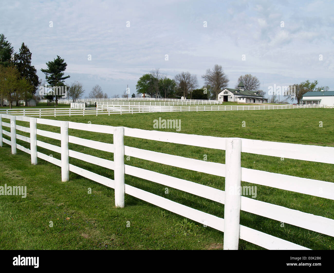 Le livre blanc de clôtures un pur-sang ferme près de Lexington, Kentucky Banque D'Images