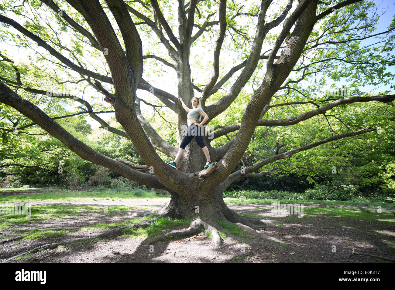 Dame blonde portant des guêtres noires et un top gris debout au milieu d'un arbre sur Hampstead Heath. Banque D'Images