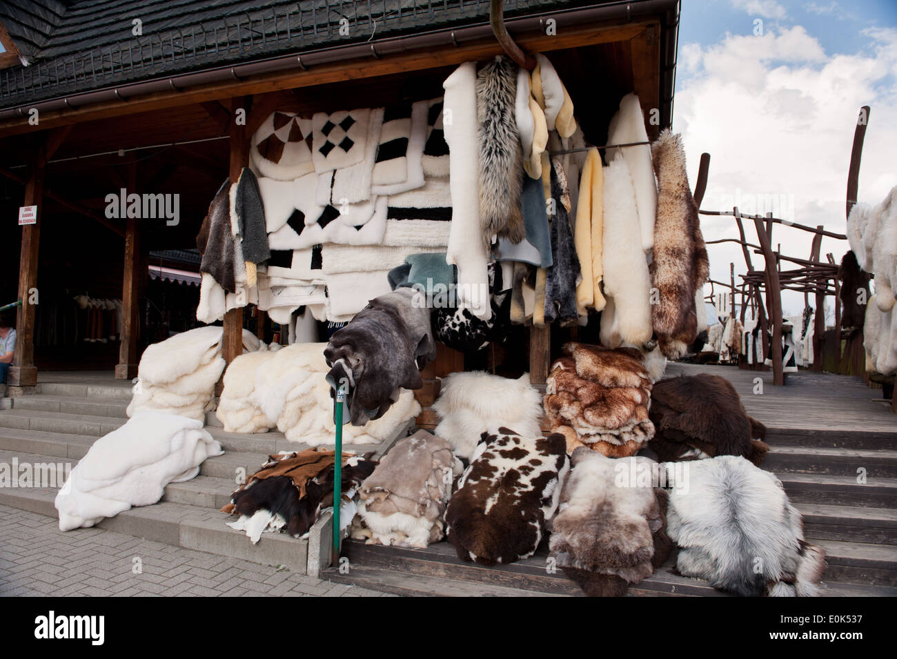 Beaucoup de moutons à fourrure marché de Gubalowka à Zakopane, Pologne, Europe 2014. Ciel nuageux, l'orientation horizontale, personne. Banque D'Images