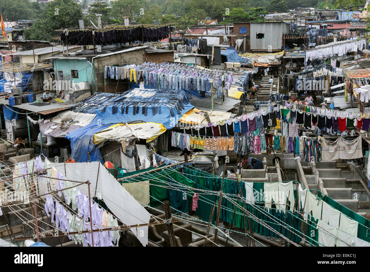 Journée ordinaire au Dhobi Ghat, Mumbai, Inde Banque D'Images